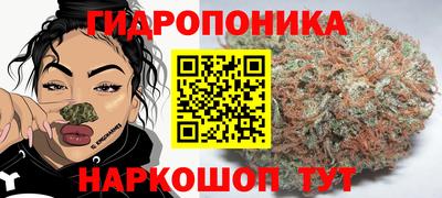 дживик Будённовск